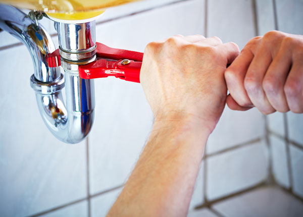 About Sycamore Plumbers